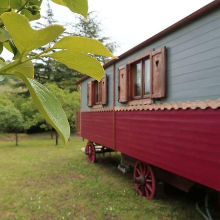 I Tre Abeti - Holiday House Vezzano Ligure Buitenkant foto